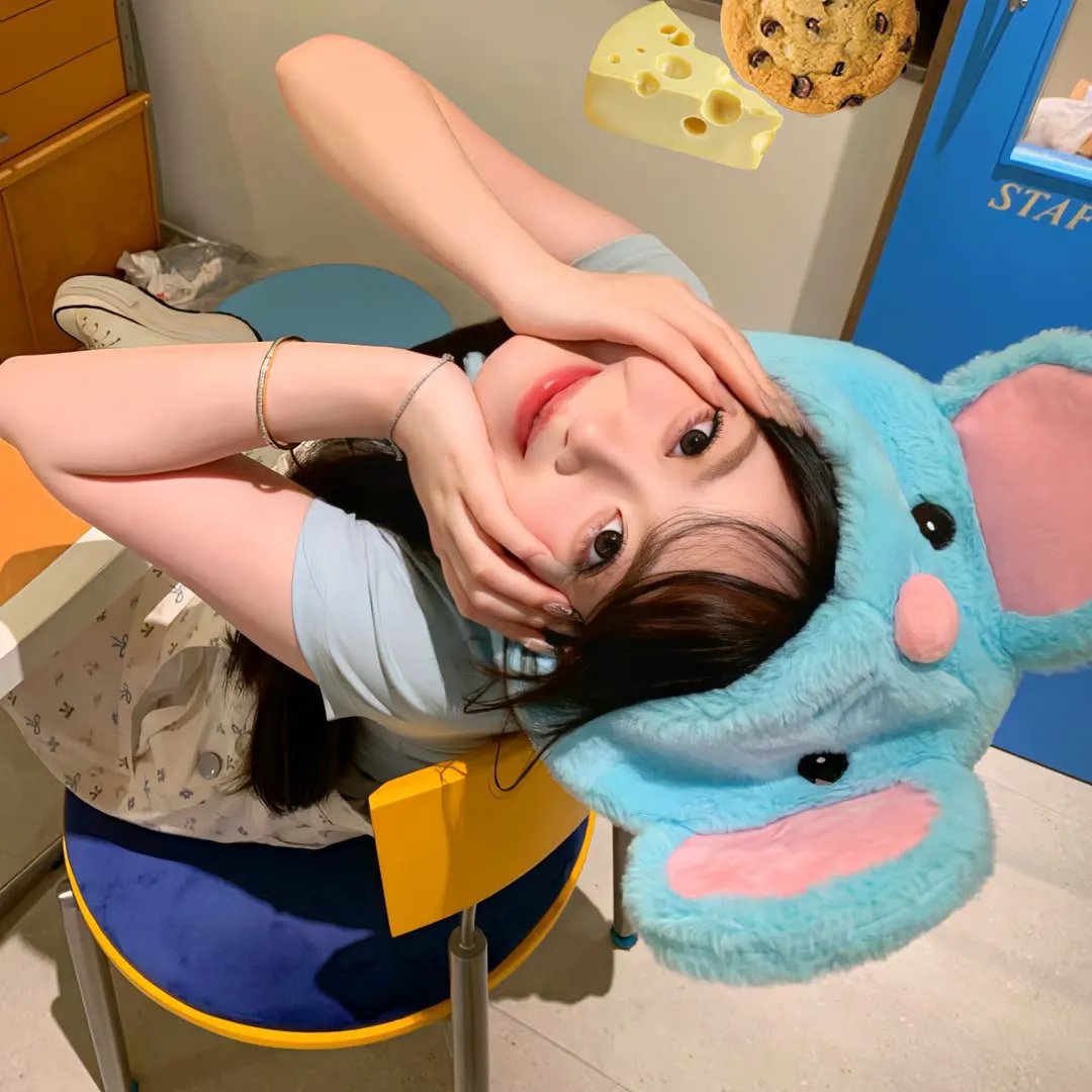 五香宫的猫
